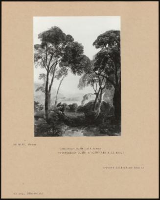 Landscape With Tall Trees