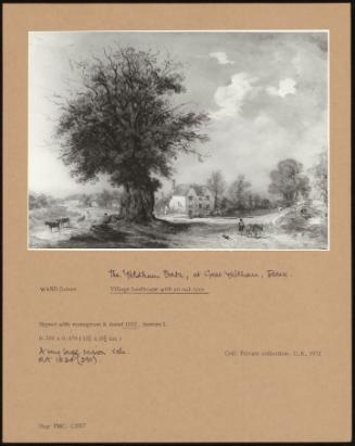 The Yeldham Oak, At Great Yeldham, Essex; Village Landscape With An Oak Tree