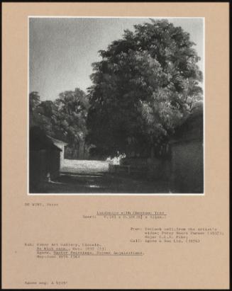 Landscape With Chestnut Tree