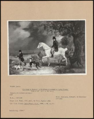 Coursing in Sussex: a Gentleman Mounted on a Grey Hunter