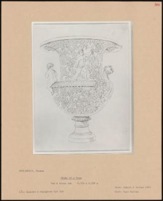 Study Of A Vase