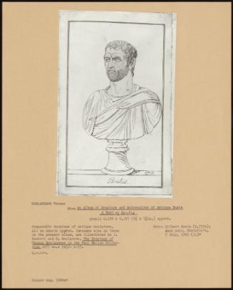 From An Album Of Drawing And Watercolour Of Antique Busts A Bust Of Brutus