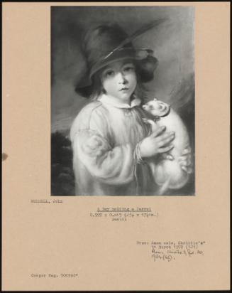 A Boy Holding a Ferret