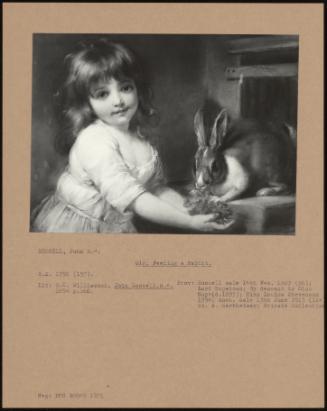 Girl Feeding a Rabbit