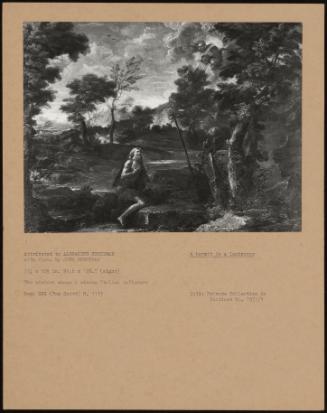 A Hermit in a Landscape