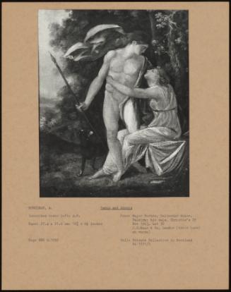 Venus and Adonis