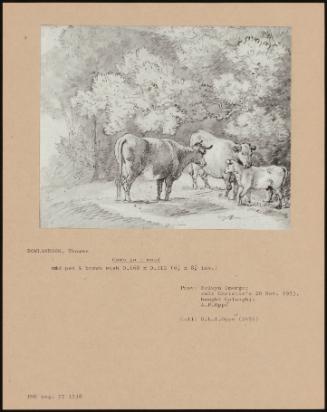 Cows In A Wood