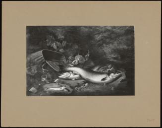 Salmon and Trout by a Creel