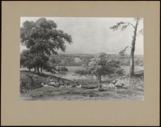 A View In Ampthill Park, Bedfordshire