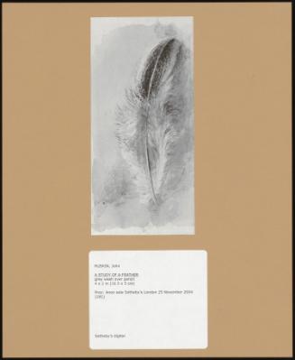 A Study of a Feather