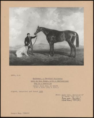 Harkaway, a Chestnut Racehorse Held by His Owner, with a Newfoundland Dog in a Landscape