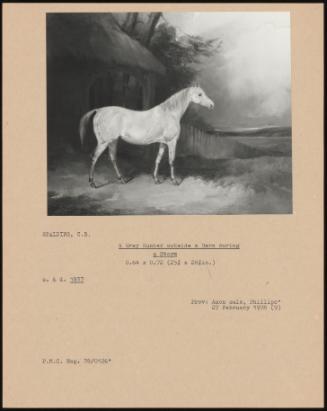 A Grey Hunter Outside A Barn During A Storm