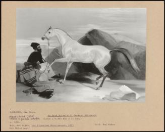 An Arab Horse With Turkish Attendant