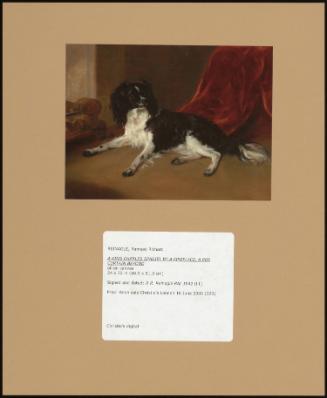 A King Charles Spaniel By A Fireplace, A Red Curtain Beyond