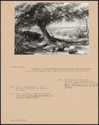 A Shepherd And His Flock Resting Beneath A Spreading Tree