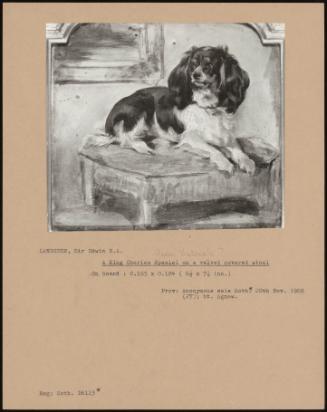 A King Charles Spaniel On A Velvet Covered Stool