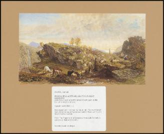 Rustic With Sheep And Goats In A Rocky Landscape