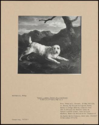 Venus', A White Terrier In A Landscape