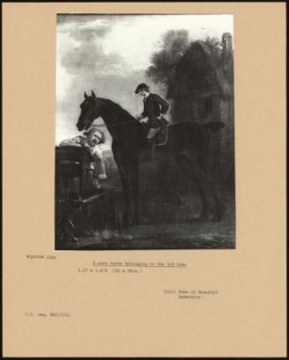 A Race Horse Belonging To The 3rd Duke