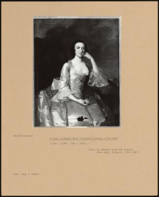 A Lady, Probably Miss Elizabeth Jenkins (1736-1810)