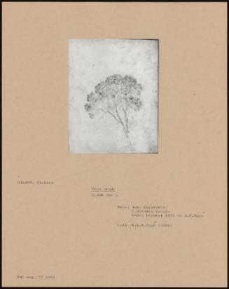 Tree Study