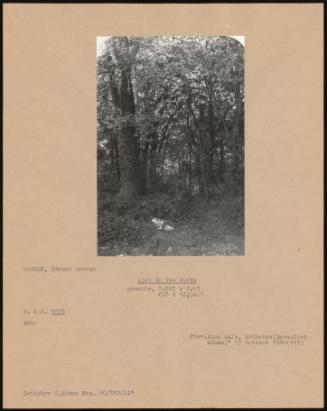 PA-F02791-0005