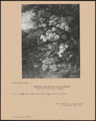 Primroses And Blossom In A Landscape