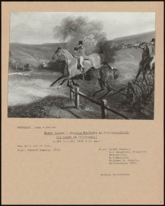 Count Sandor's Hunting Exploits In Leicestershire: The Count On ''Harlequin''