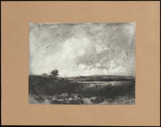 Landscape Mh 225