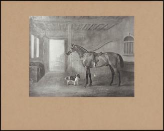 A Horse With A Spaniel In A Stable