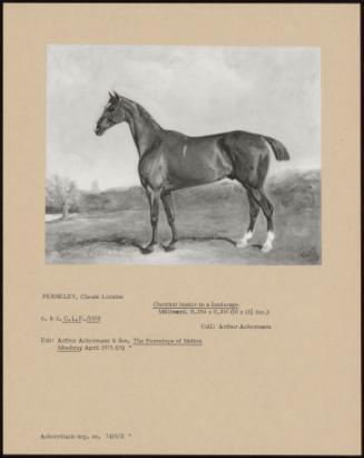 Chestnut Hunter In A Landscape