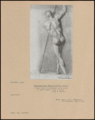 Standing Male Nude Holding A Staff