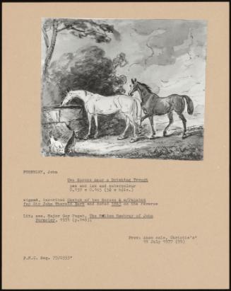Two Horses Near A Drinking Trough