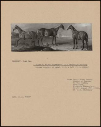 A Study Of Three Racehorses In A Landscape Setting