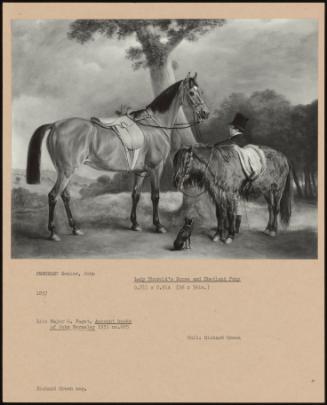 Lady Thorold's Horse And Shetland Pony