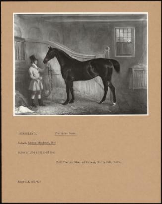 The Brown Mare