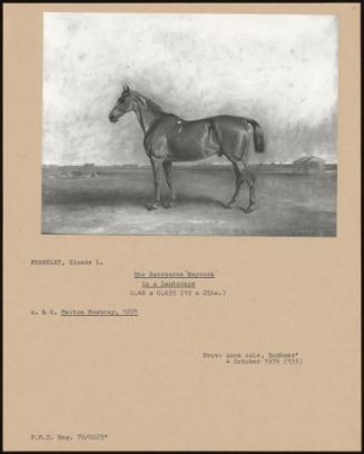 The Racehorse 'Haycock' In A Landscape
