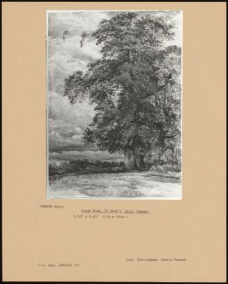 Large Elms, St Anne's Hill, Thorpe