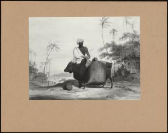 Hindoo Water - Carriers