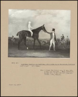 A Gentleman Leading A Bay Racehorse, With A Jockey Up, On The Curragh, Co. Kildare