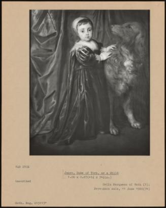 James, Duke Of York, As A Child