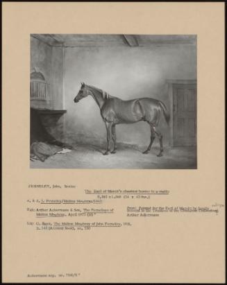 The Earl Of March's Chestnut Hunter In A Stable
