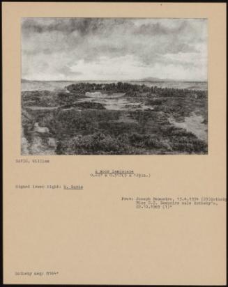 A Moor Landscape