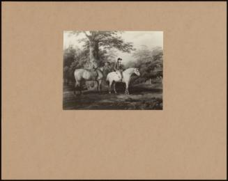 Huntsman & Hunter - Lady Emma Hamilton's Groom, Cummings, With Her Horse 'dalesman'.