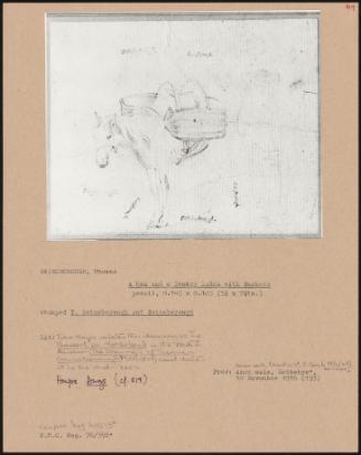 PA-F02978-0191