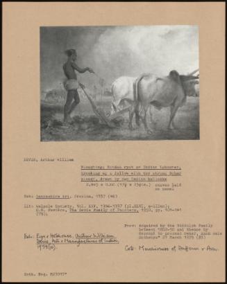 Ploughing: Hindoo Ryot Or Indian Labourer, Breaking Up A Fallow With The Strong Behar Plough, Drawn By Two Indian Bullocks