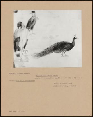 Peacock And Other Birds