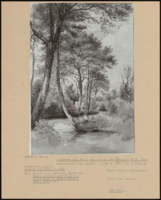 A Stream With Trees And Cattle Near Bromley Hill, Kent