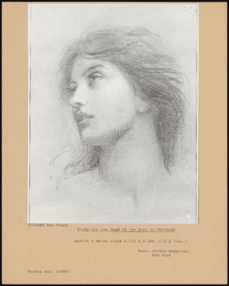 Study For The Head Of The Girl In CHIVALRY