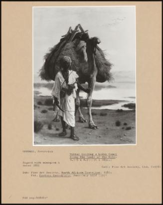 Nubian Leading A Laden Camel Along The Banks Of The Nile.